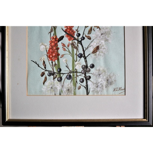 664 - Framed & Glazed Original Watercolour of Horticultural Plant by K. A. Flack - 1980's - Commissioned f... 