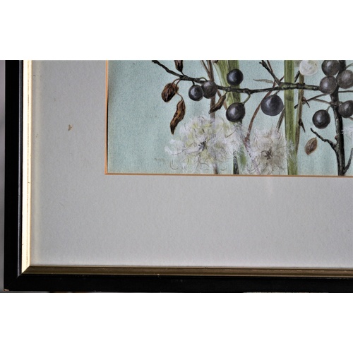 664 - Framed & Glazed Original Watercolour of Horticultural Plant by K. A. Flack - 1980's - Commissioned f... 