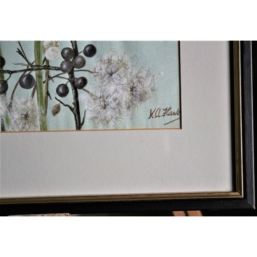 664 - Framed & Glazed Original Watercolour of Horticultural Plant by K. A. Flack - 1980's - Commissioned f... 