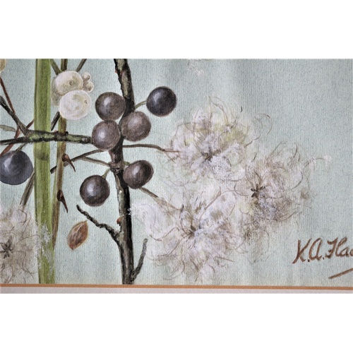 664 - Framed & Glazed Original Watercolour of Horticultural Plant by K. A. Flack - 1980's - Commissioned f... 