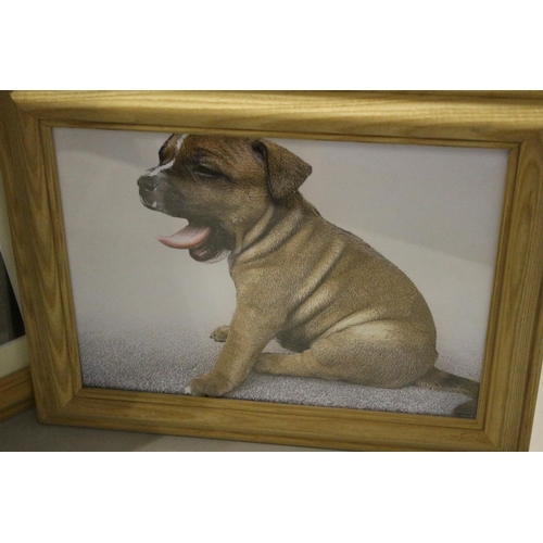 686 - Set of 3 Dog Prints, Mounted and Framed in Pine