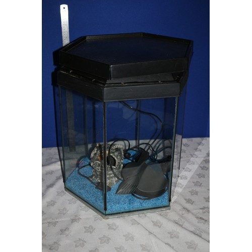 563 - Hexagonal Fish Tank with Contents