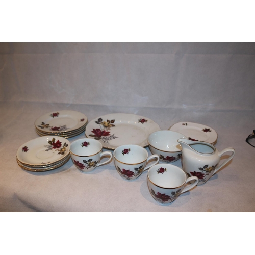 155 - 18 Pieces of Dinnerware by M Z of Czechoslovakia, Floral pattern