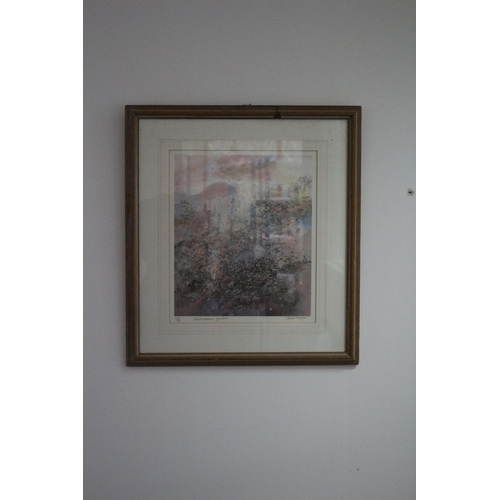 240 - Limited Edition Print 278/500 by Janet Roders, titled 