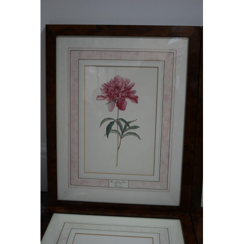 242 - 4 x Framed and glazed limited edition prints. Kew garden floral. Has certificate of origin on rear