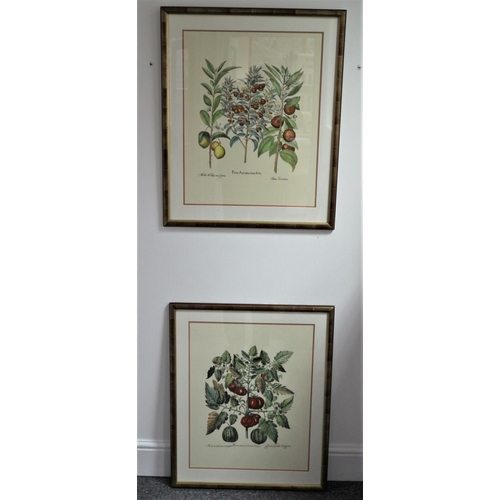 244 - 2 x Large framed and glazed, subject of fruits and vegetables