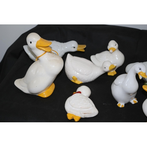 103 - For The Duck Lovers, A Good Assortment of Mainly China Ducks some a/f