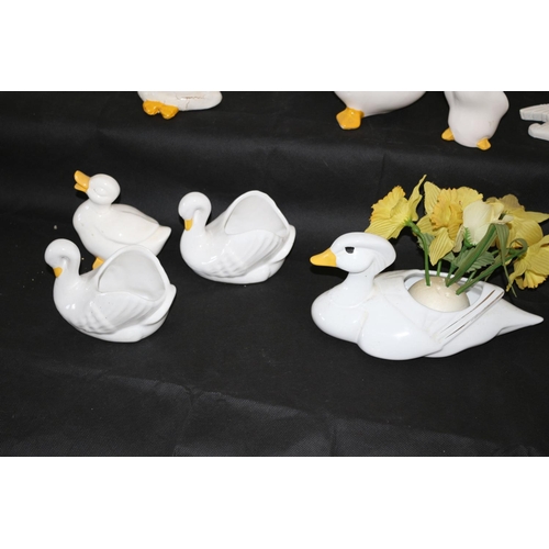 103 - For The Duck Lovers, A Good Assortment of Mainly China Ducks some a/f