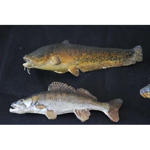 114 - A Collection Of Composite Mainly English Freshwater Fish. Some A/F