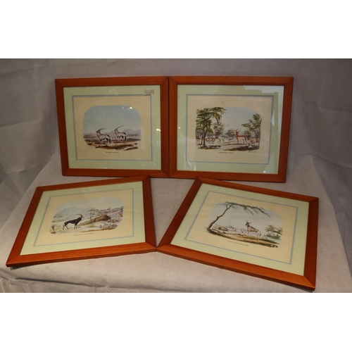 58 - A set of Four framed and glazed African prints Depicting Antelopes