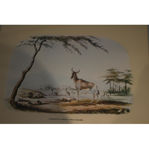 58 - A set of Four framed and glazed African prints Depicting Antelopes