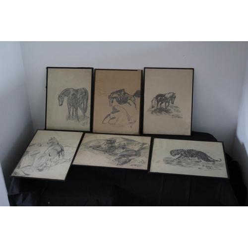 313 - 6 Naïve Charcoal Drawings All Signed Subject Mainly Animal Subject Matter Sylvia Salter