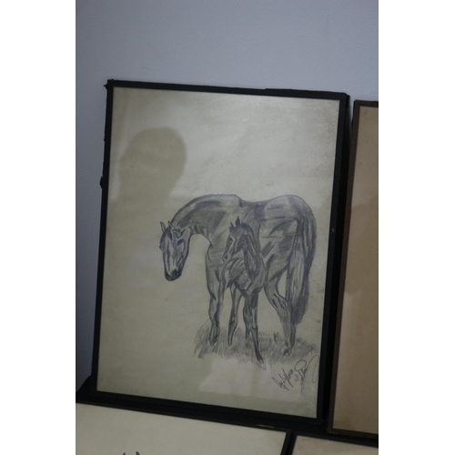 313 - 6 Naïve Charcoal Drawings All Signed Subject Mainly Animal Subject Matter Sylvia Salter