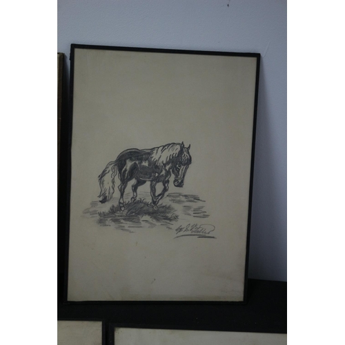 313 - 6 Naïve Charcoal Drawings All Signed Subject Mainly Animal Subject Matter Sylvia Salter