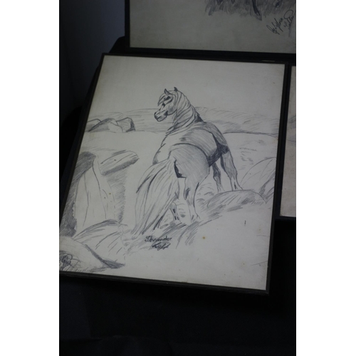 313 - 6 Naïve Charcoal Drawings All Signed Subject Mainly Animal Subject Matter Sylvia Salter