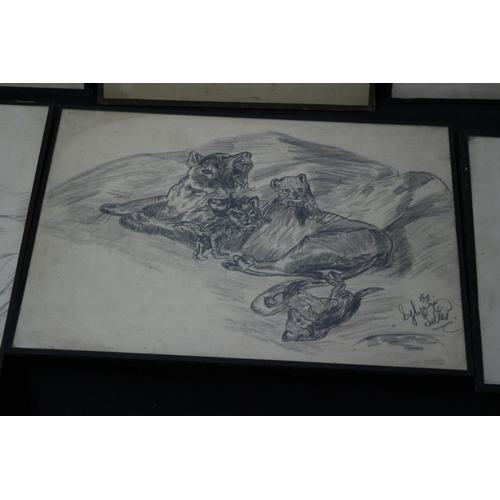 313 - 6 Naïve Charcoal Drawings All Signed Subject Mainly Animal Subject Matter Sylvia Salter