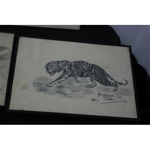 313 - 6 Naïve Charcoal Drawings All Signed Subject Mainly Animal Subject Matter Sylvia Salter