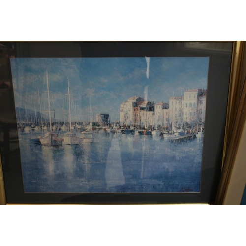 317 - 2 Large Framed and Glazed Prints of Water scene Continental