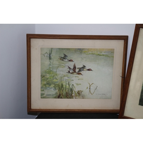 321 - 6 Prints of Animal Themes including Ducks and Horses Some Glazed and Framed