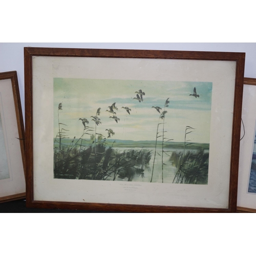 321 - 6 Prints of Animal Themes including Ducks and Horses Some Glazed and Framed