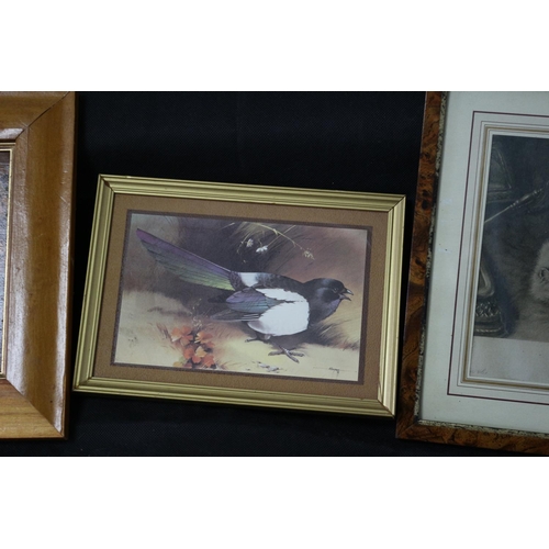 321 - 6 Prints of Animal Themes including Ducks and Horses Some Glazed and Framed