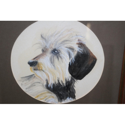 330 - Framed and Glazed Watercolour Painting of a portrait of a Dog initialed JP