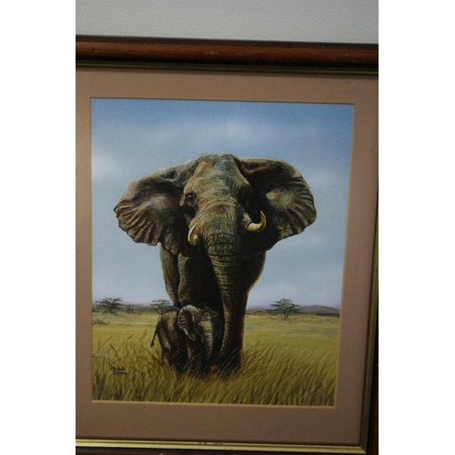 331 - A framed and Glazed Mixed Media Painting of an Elephant and Calf Signed Michelle Diprose