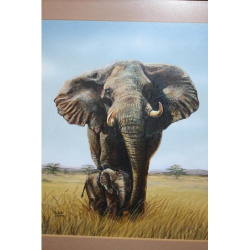 331 - A framed and Glazed Mixed Media Painting of an Elephant and Calf Signed Michelle Diprose