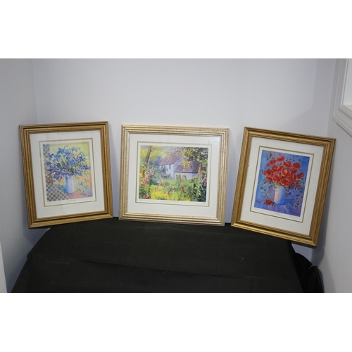 381 - 3 Framed and Glazed Limited Edition Signed Prints with Certificate of Authenticity