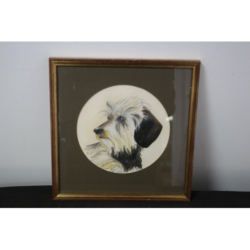 396 - Framed and Glazed Watercolour Painting of a portrait of a Dog initialled JP