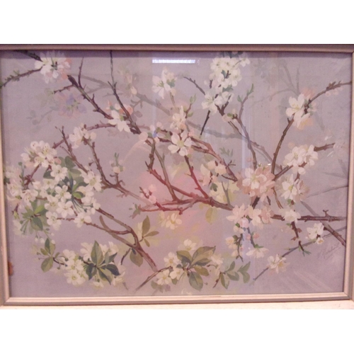 27 - A Frame And Glazed Signed Mix Media Painting Of Cherry Blossom