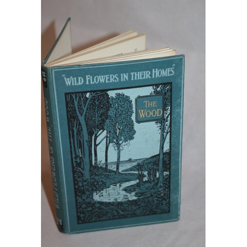 109 - Antique Book - Wild Flowers in the Woods