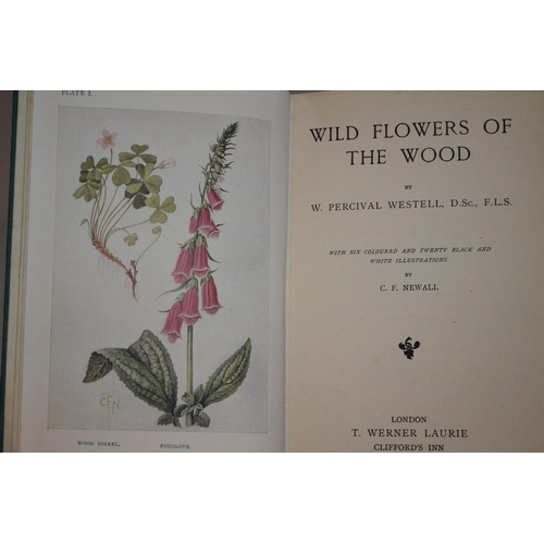 109 - Antique Book - Wild Flowers in the Woods