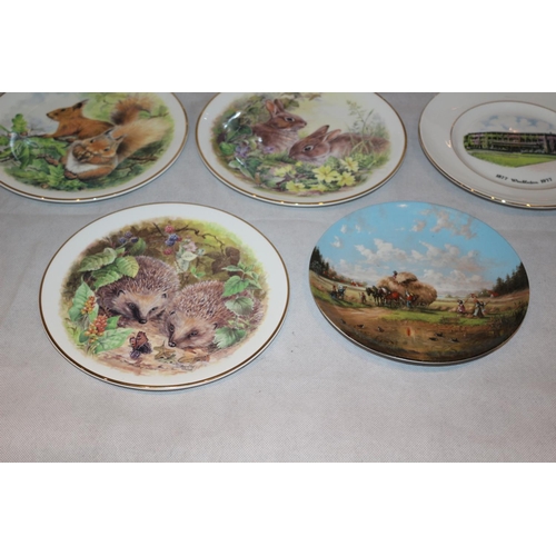 67 - Selection of Collectors Plates