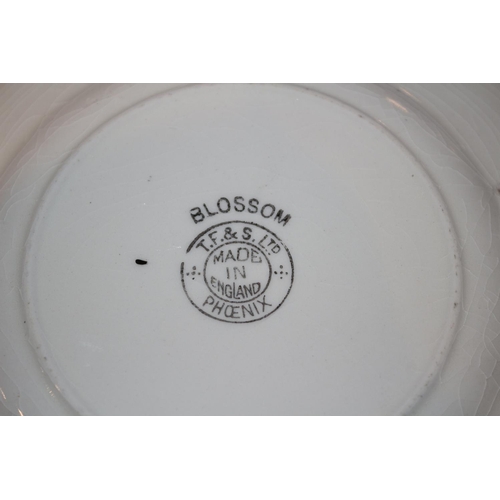 75 - Selection of T.F. & S Ltd Dishes - Blossom