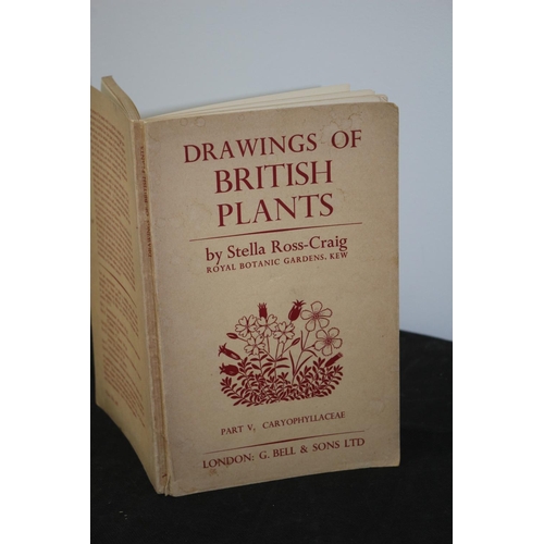 176 - Collectable Book . Drawings Of British Plants By Stella Ross-Craig