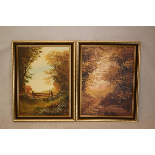 530 - 2 Framed Oil On Canvas Paintings Both Signed And Are Of A Rural Scene 36CM X 46CM