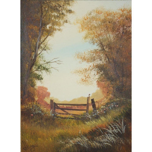 530 - 2 Framed Oil On Canvas Paintings Both Signed And Are Of A Rural Scene 36CM X 46CM