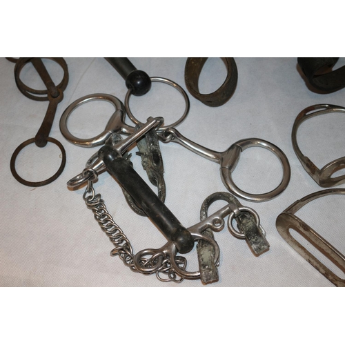 539 - A Good Assortment Of Horse Bridle Wear