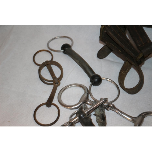 539 - A Good Assortment Of Horse Bridle Wear