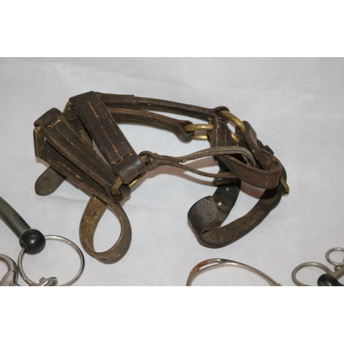 539 - A Good Assortment Of Horse Bridle Wear