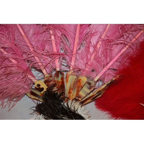 15 - For All You Burlesque Fans A Good Selection Of Ostrich Feathers And 3 New Fans