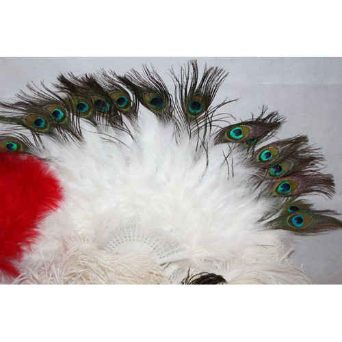 15 - For All You Burlesque Fans A Good Selection Of Ostrich Feathers And 3 New Fans