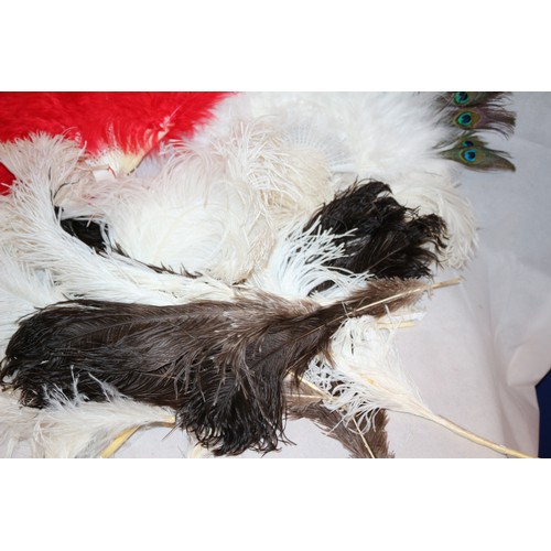 15 - For All You Burlesque Fans A Good Selection Of Ostrich Feathers And 3 New Fans