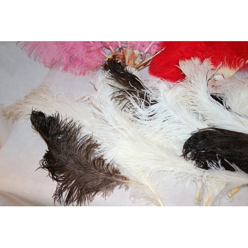 15 - For All You Burlesque Fans A Good Selection Of Ostrich Feathers And 3 New Fans