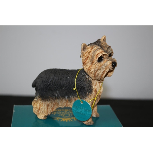 261 - New in Box A Yorkshire Terrier by Leonardo Dog Studies