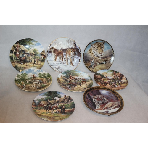 282 - 8 Collectors Plates with Names like Royal Doulton