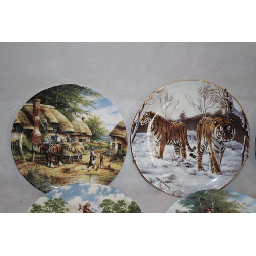 282 - 8 Collectors Plates with Names like Royal Doulton