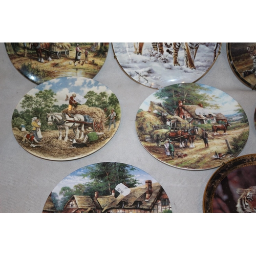 282 - 8 Collectors Plates with Names like Royal Doulton