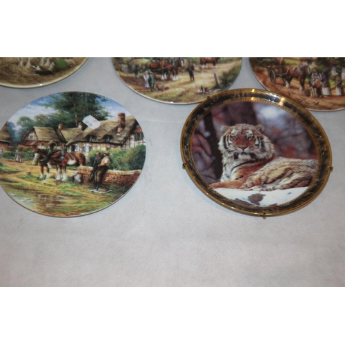 282 - 8 Collectors Plates with Names like Royal Doulton